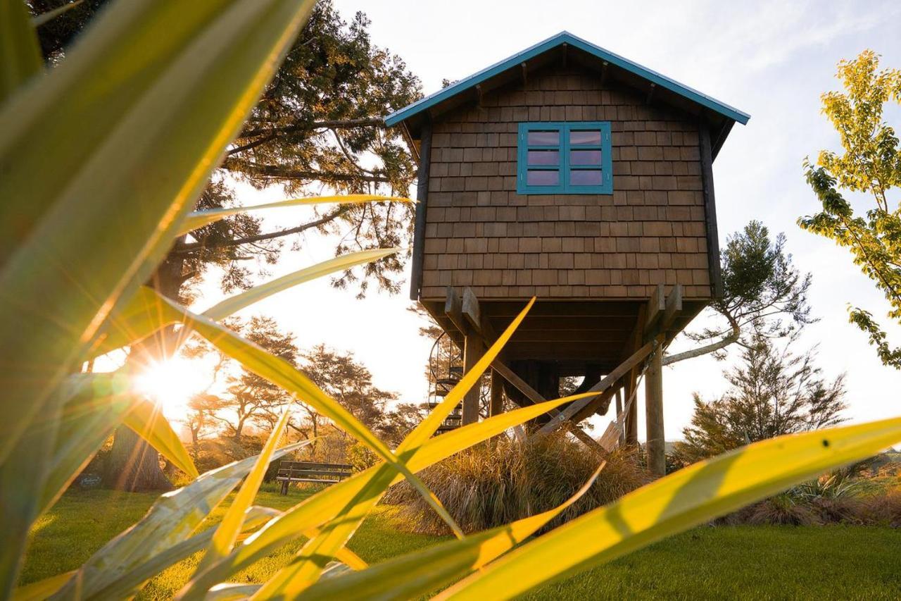 Tui Ridge Eco Cabins Aongatete Exterior photo