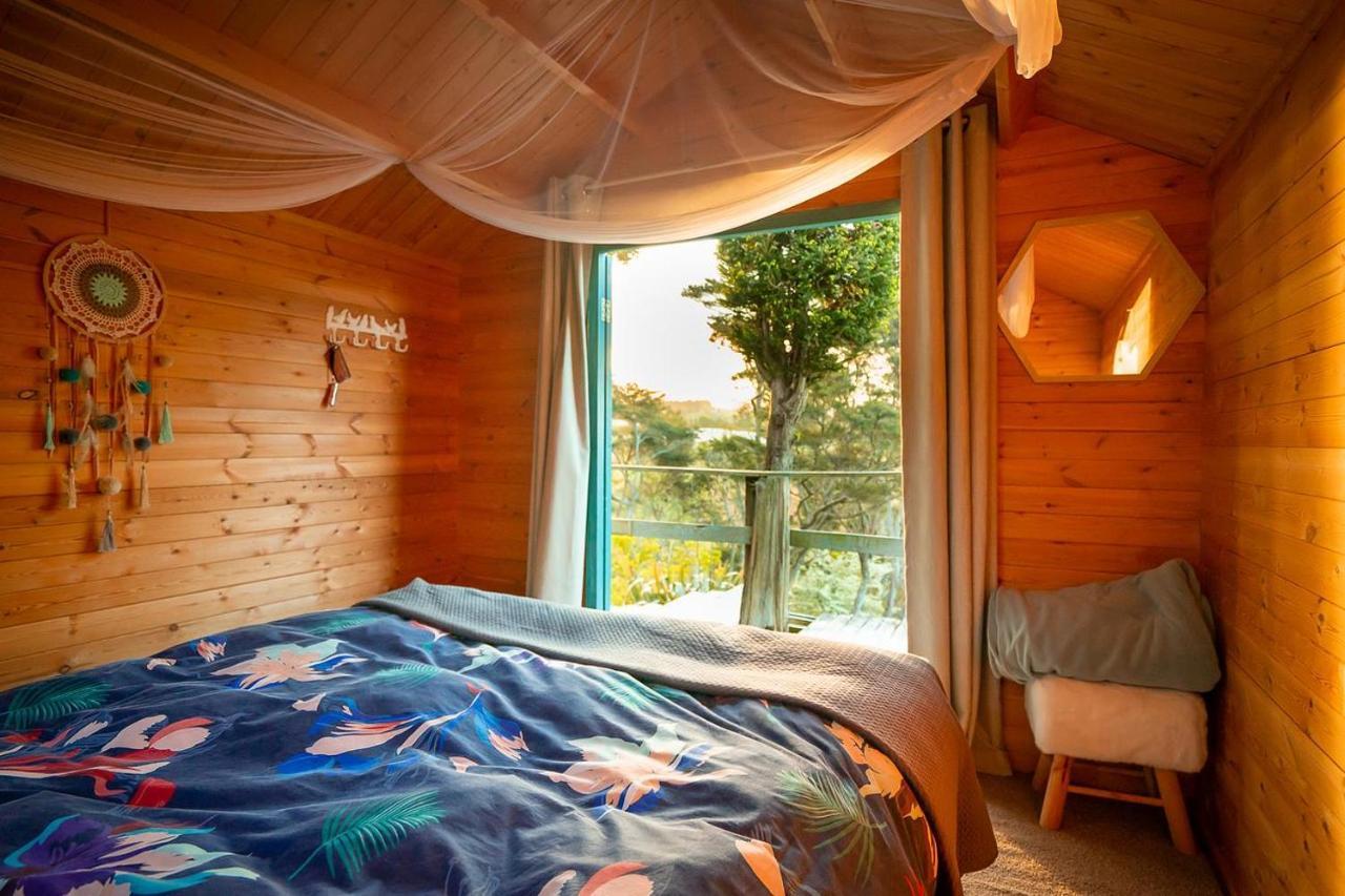 Tui Ridge Eco Cabins Aongatete Exterior photo