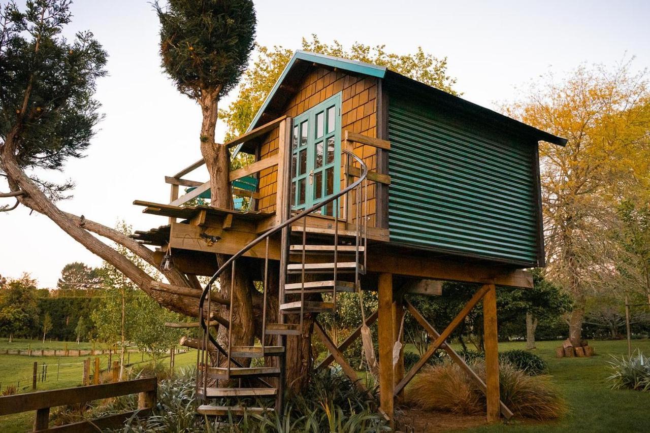 Tui Ridge Eco Cabins Aongatete Exterior photo
