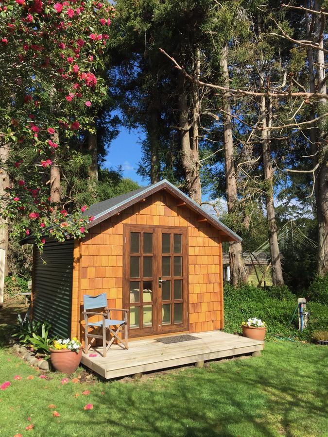Tui Ridge Eco Cabins Aongatete Exterior photo
