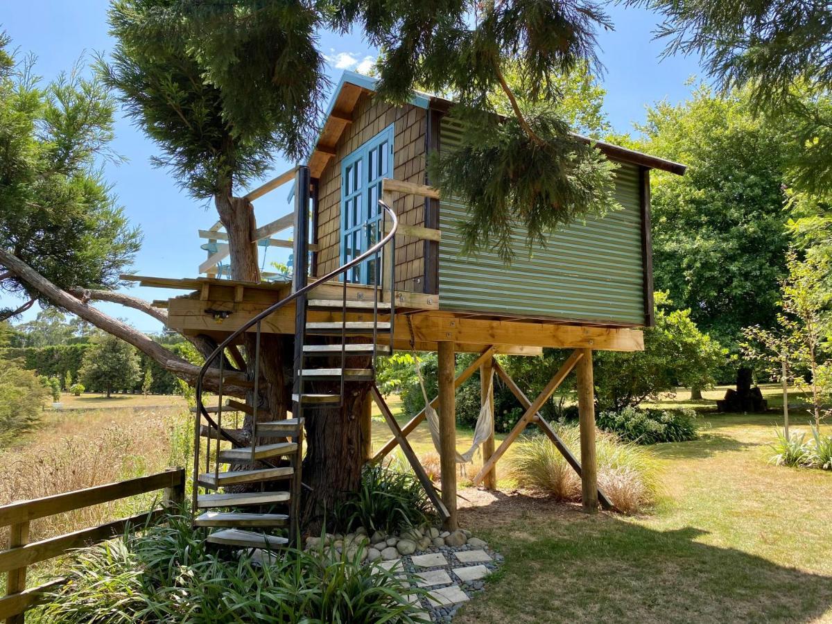 Tui Ridge Eco Cabins Aongatete Exterior photo