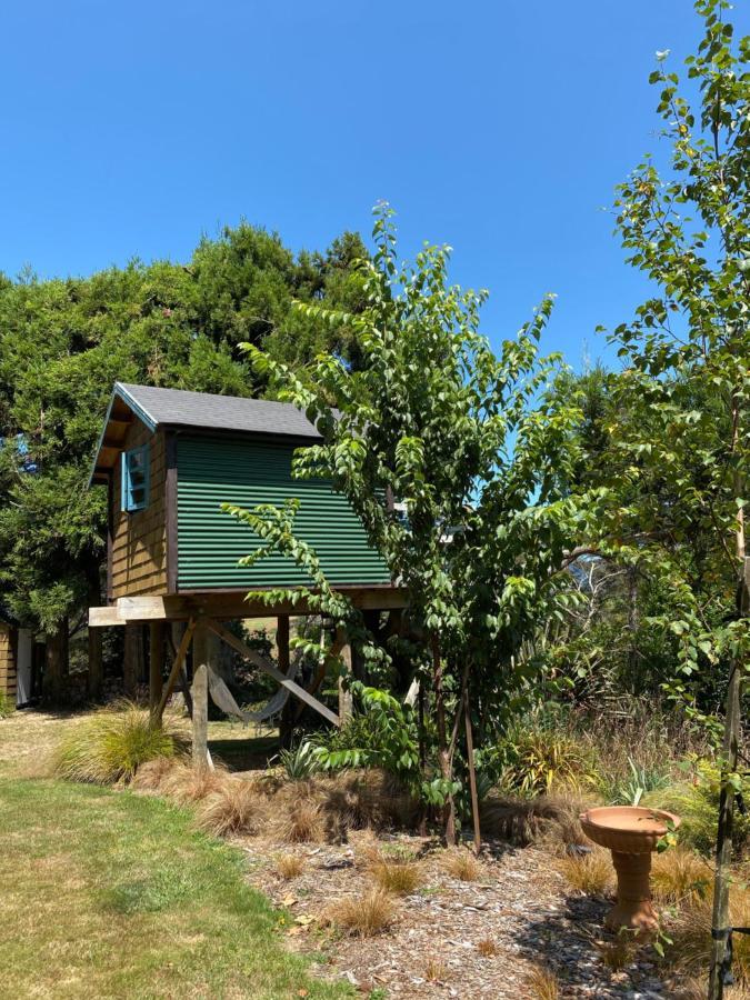 Tui Ridge Eco Cabins Aongatete Exterior photo